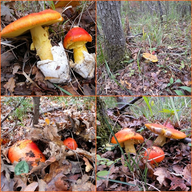 ...ultima bellissima giornata!